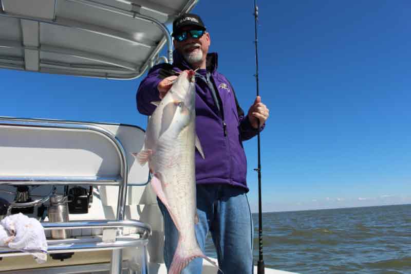 channel catfish caught in the chesapeake bay