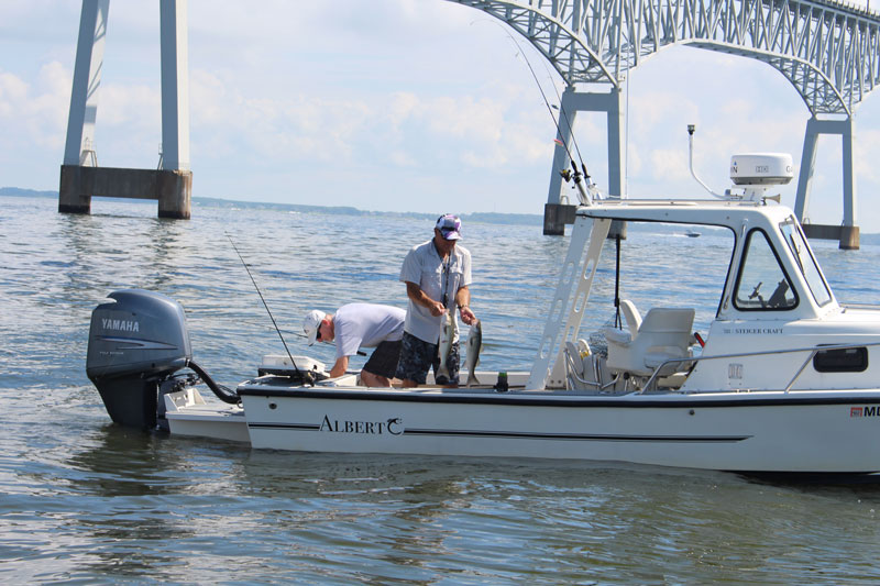 fishing around the bay bridge