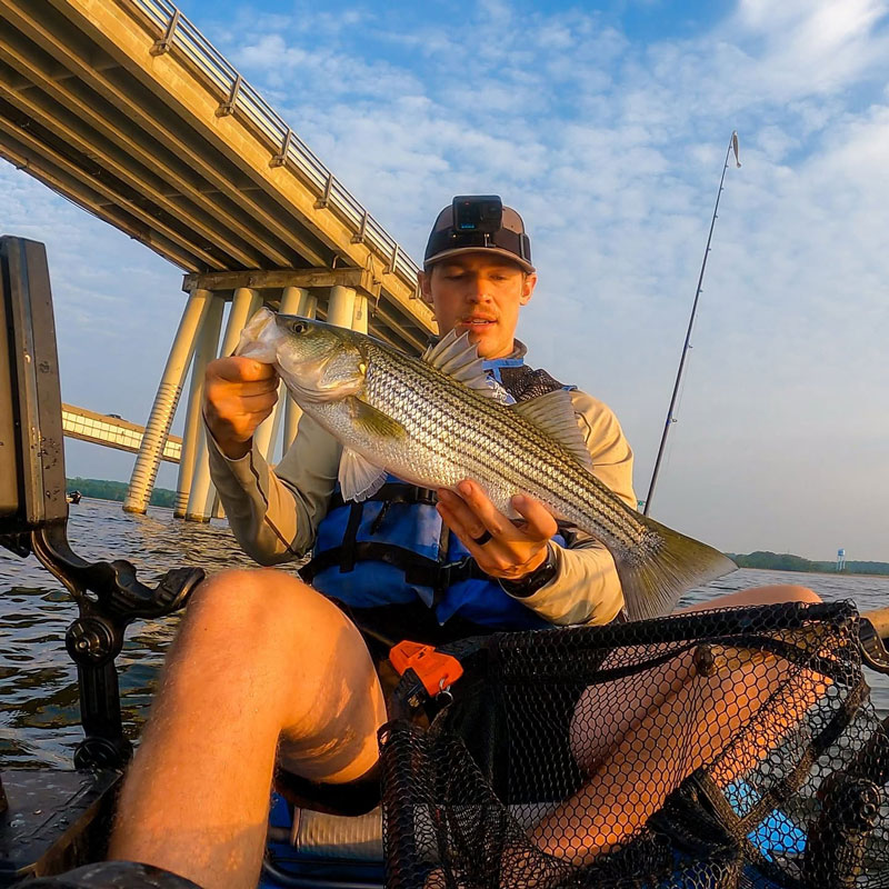 fishing reports editor catching rockfish