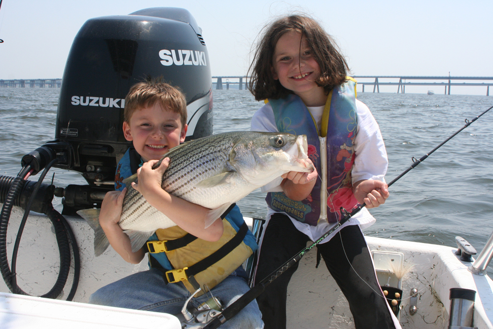 striped bass caught fishing on chesapeake bay