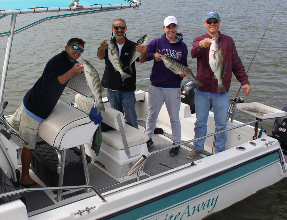 rockfish and spanish mackerel