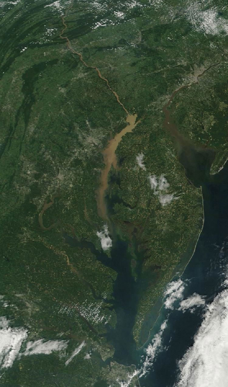 chesapeake bay satellite view