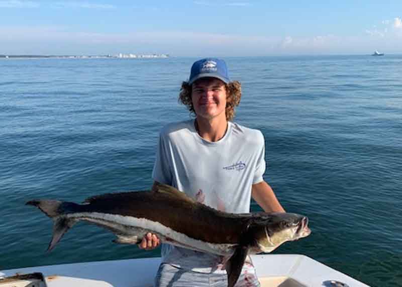 angler holds up a cobia