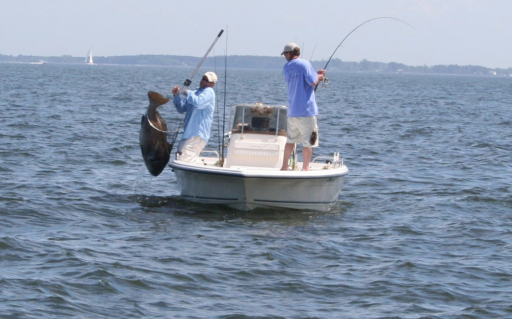 Rock Fishing in Chesapeake Bay