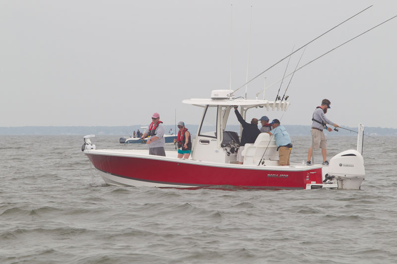 best fishing guides on the chesapeake bay