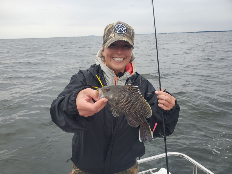 Fishing for Sea Bass in the Chesapeake Bay