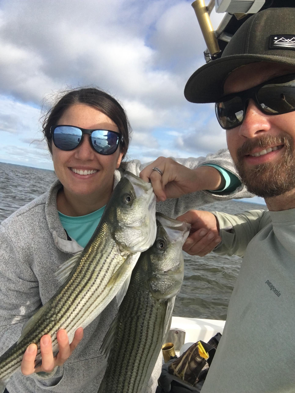 striped bass on chesapeake bay