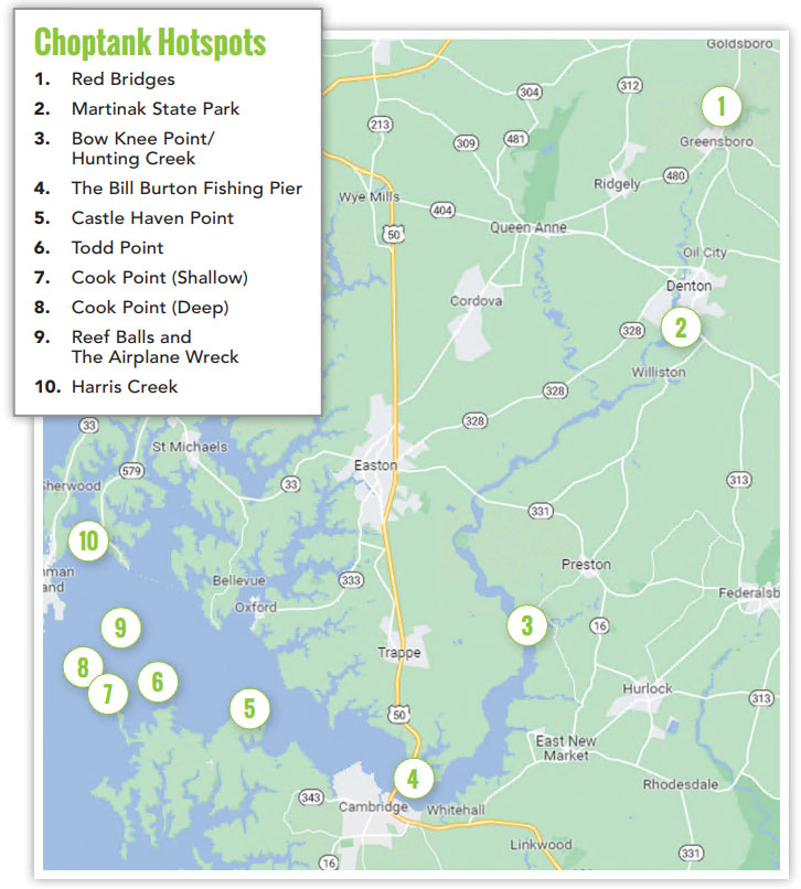 choptank river fishing hotspots