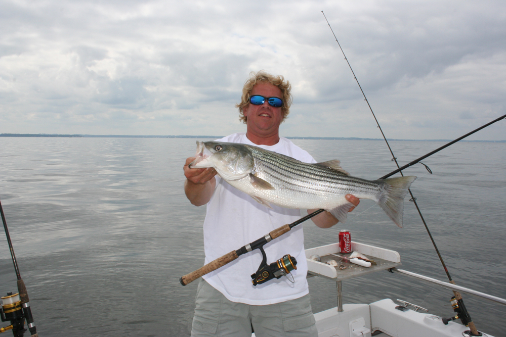 choose topwater rod - Chesapeake Light Tackle