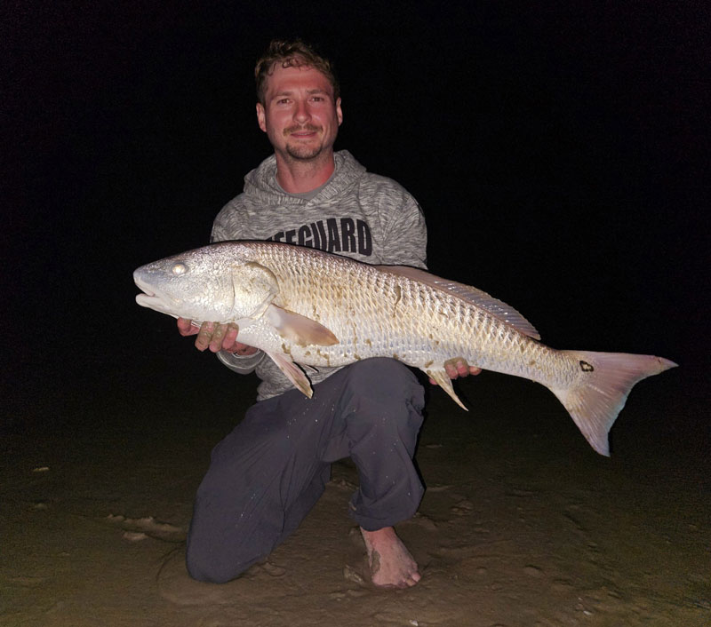 red drum in the surf