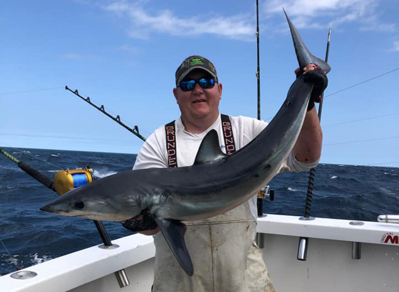 mako shark fishing