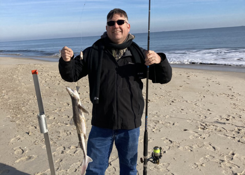 surf fishing for sharks