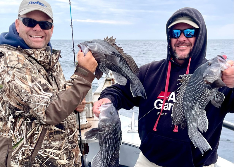 sea bass on a headboat