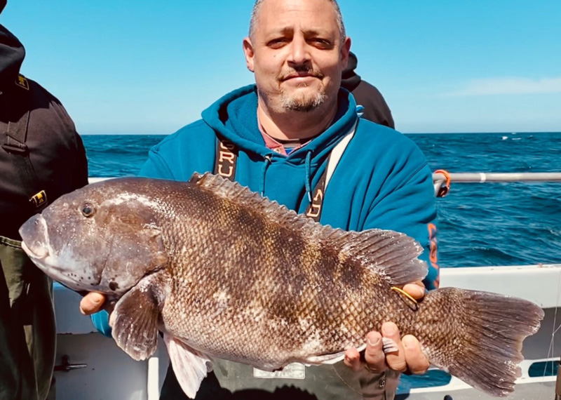 ᐅ Deal Island Marsh fishing reports🎣• Princess Anne, MD (United States)  fishing