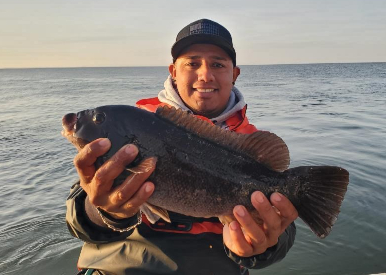 angler with a tautog