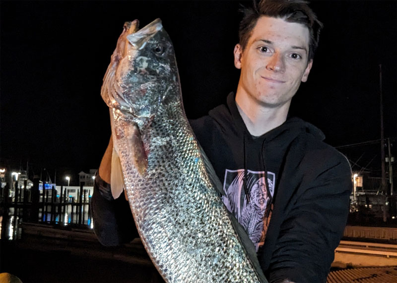 big weakfish caught at the ocean