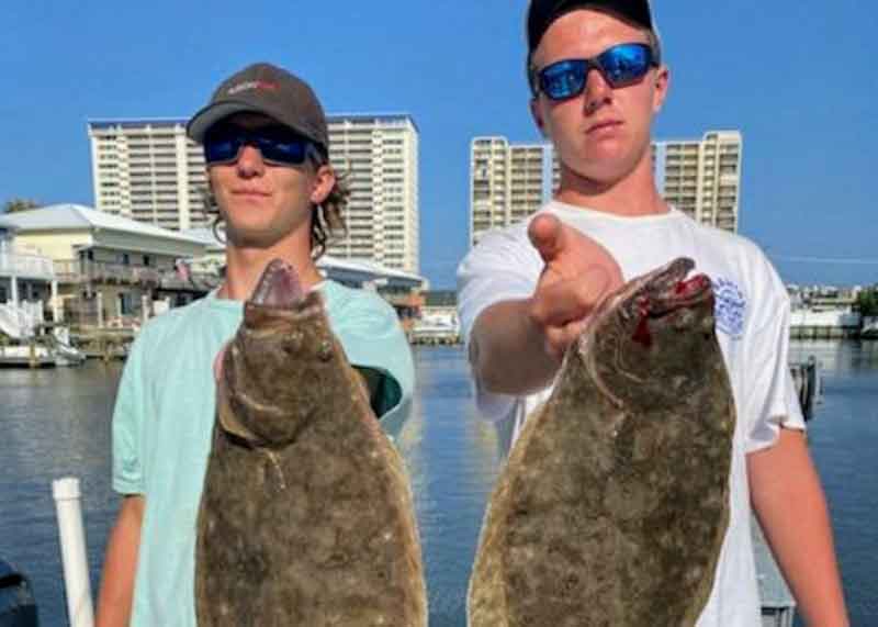 nice catch of flounder