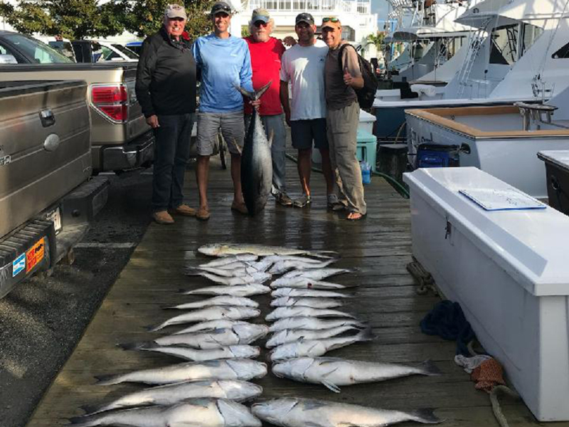 offshore angler catch