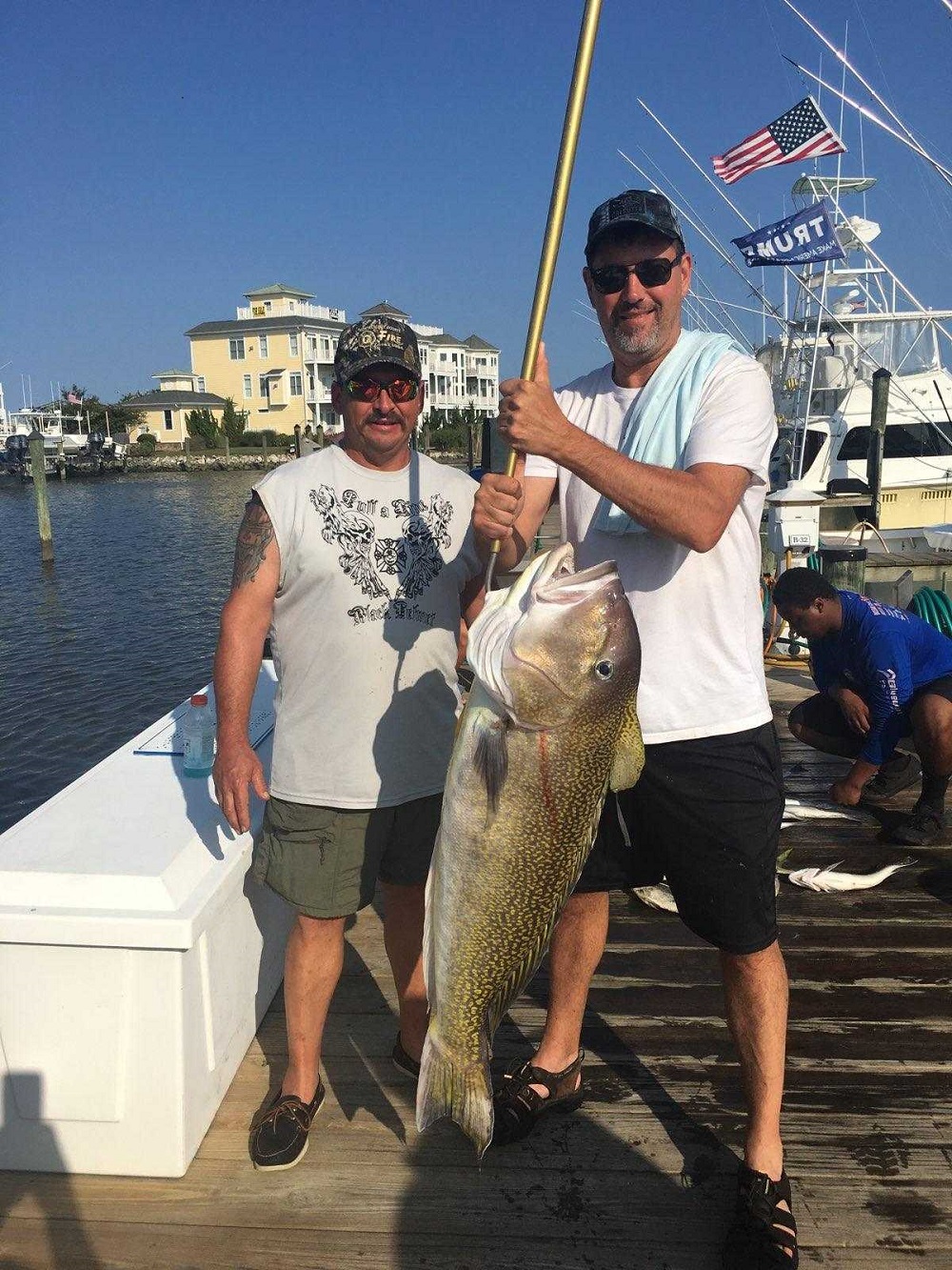 big golden tilefish