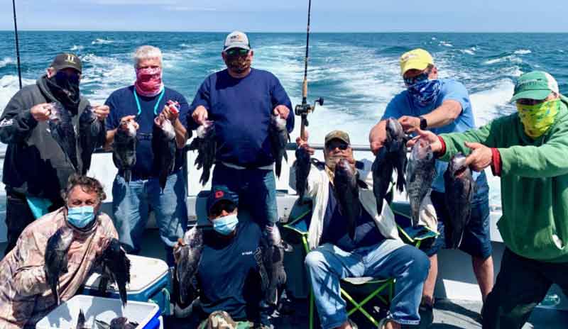 anglers with sea bass