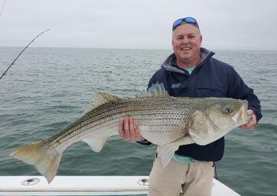 winter ocean striper