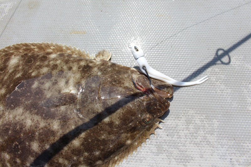 fishing for flounder