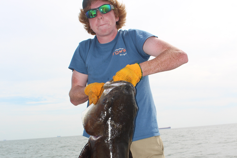 fishing for cobia in chesapeake