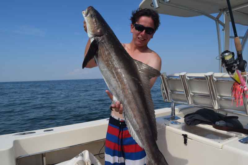 holding up a cobia fish