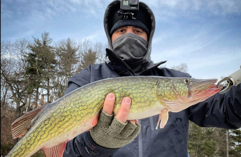 fishing during winter for pickerel