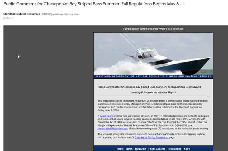 maryland striped bass season comment 