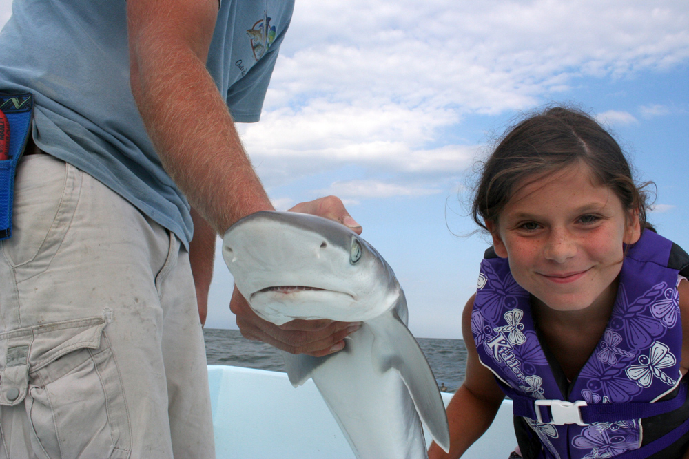 shark and girl conservation for fisheries