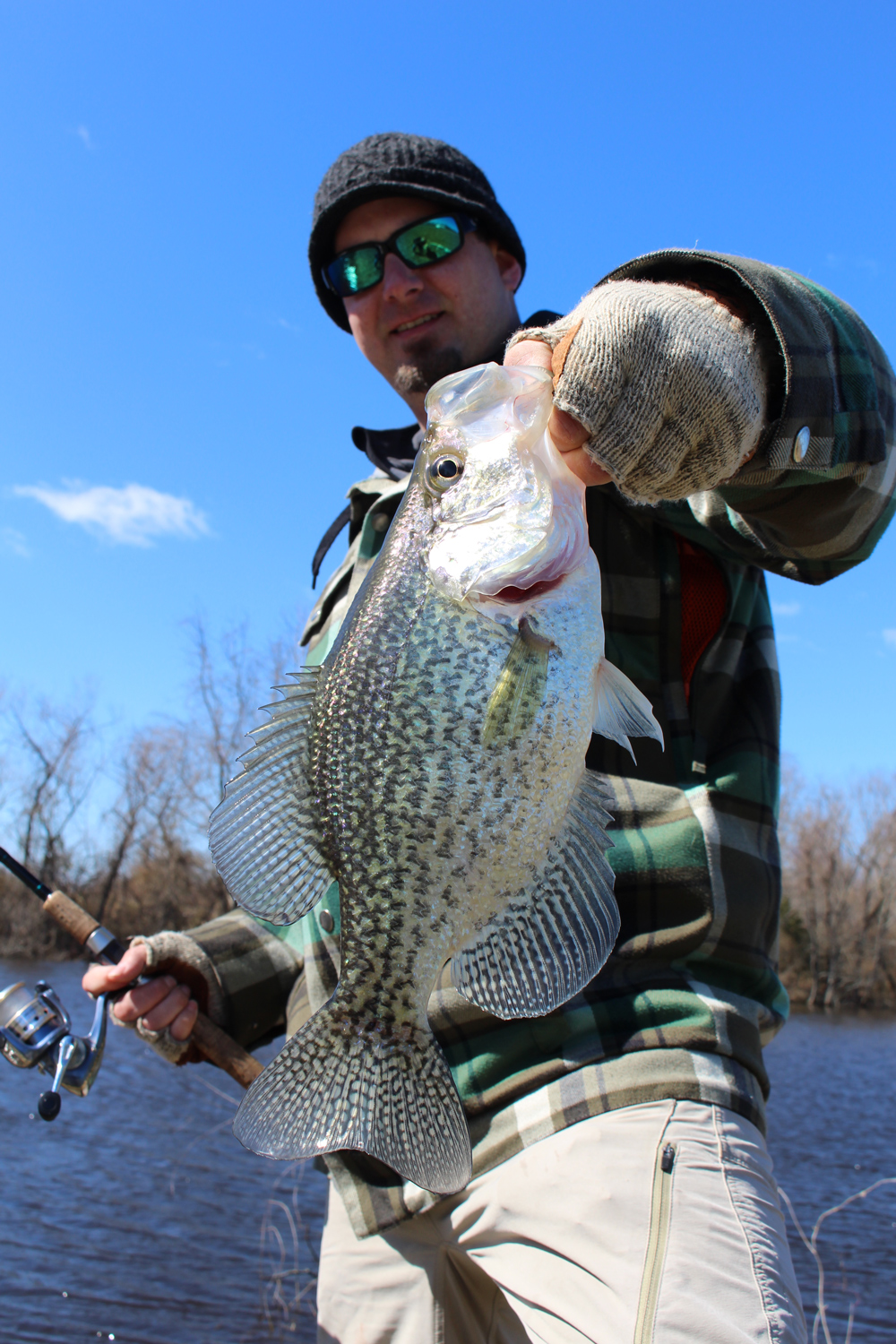 Crappie Fishing Savvy | FishTalk Magazine