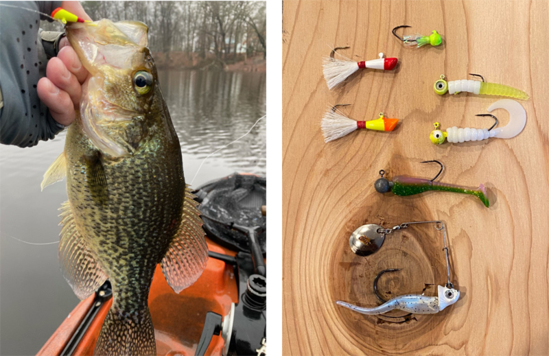 a crappie fish and lures to catch them
