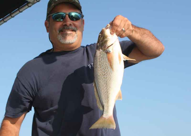 BEACH FISHING for Whiting & Croaker Catch & Cook