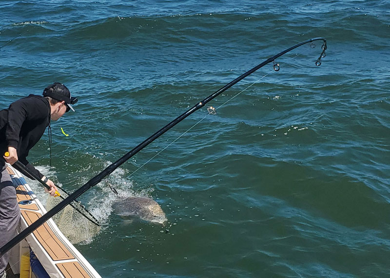 fishing with a custom rod