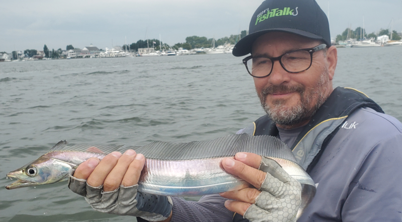 Gone Shrimping  Chesapeake Bay Magazine