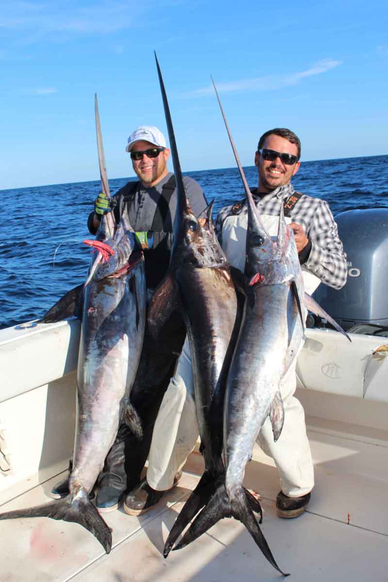 a deep drop catch of daytime swordfish