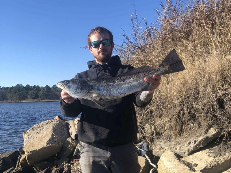 speckled trout Chesapeake Bay