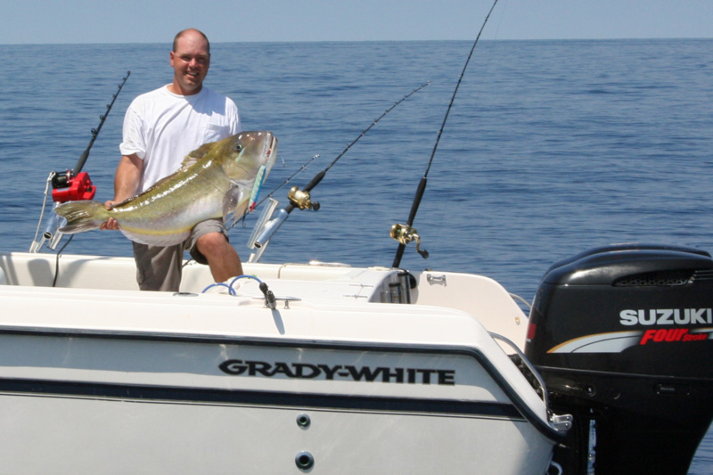 TN-Tackle - Tilefish Rigs