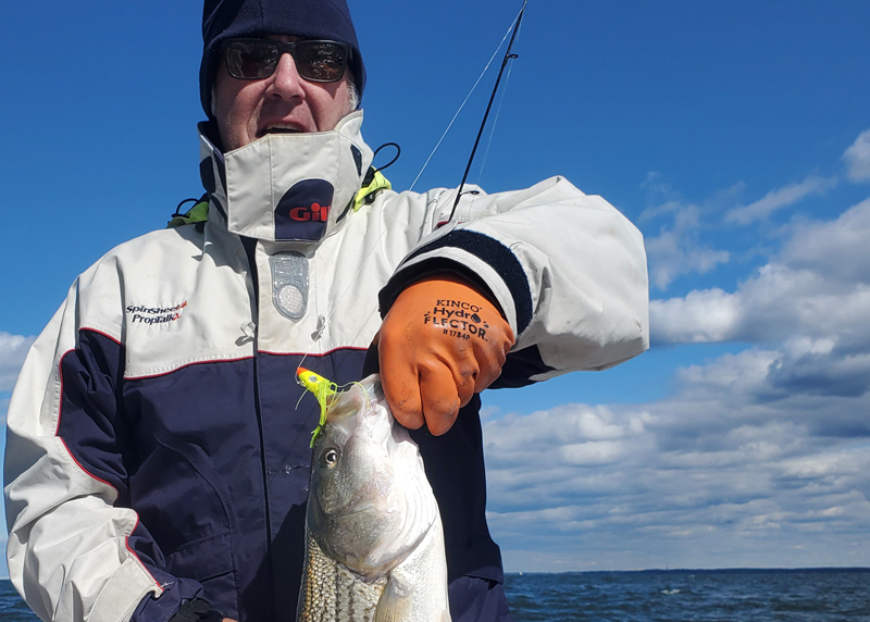 rockfish on a jig