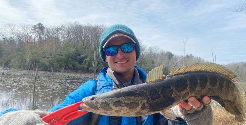 snakehead fishing in the fall