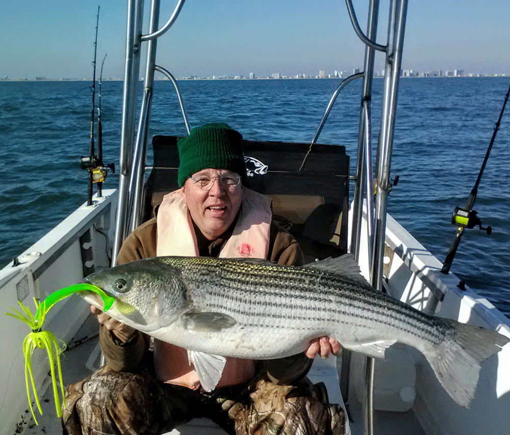 striper trolling in fall