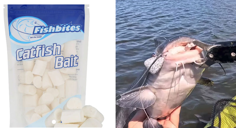 fishbites catfish flavor