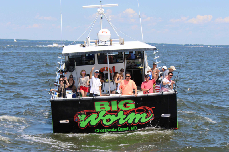 download the big worm fishing charters