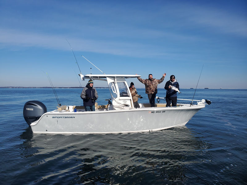 Saltwater Dock Fishing Tips for Beginners - Haven Dock & Marine