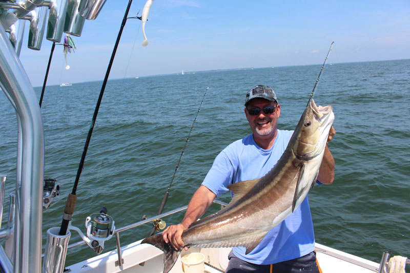 angler with a cobia he caught