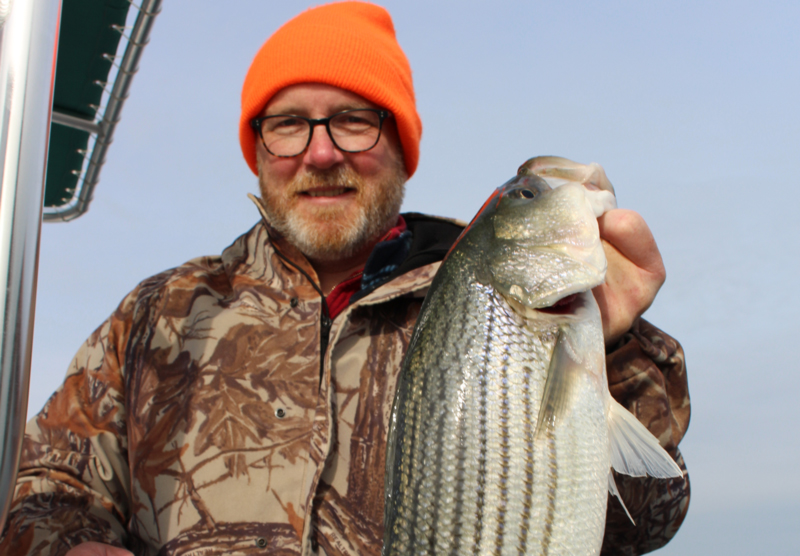 angler holding a chesapeake rockfish