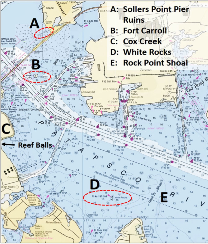 Back from The Muck: Buried Fishing Reefs can Reappear | FishTalk Magazine