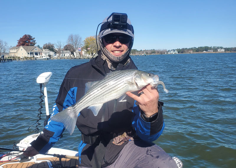 fishing reports editor dillon waters with a rockfish