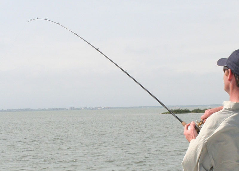 angler with a fishing rod